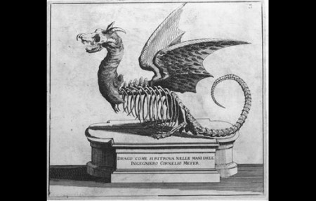 Paleontolog zkoumal draka